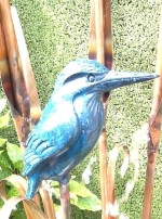l. Bronze Kingfisher and Bullrush (close up).jpg